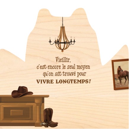 Cowboy_FR