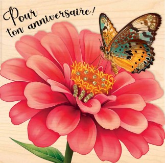 Fleur Papillon