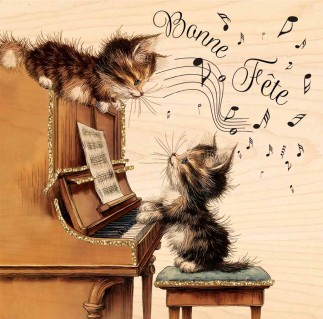 Chat Musique