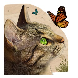 Butterfly Cat